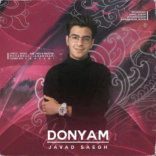 دانلود آهنگ دنیام جواد سائغ